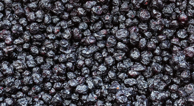 Freeze-Dried Blueberry 12 pack